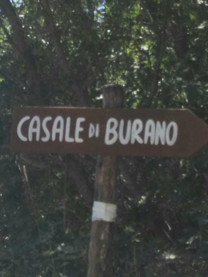 Apartmán Casale Di Burano Onano Exteriér fotografie